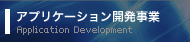 AvP[VJ Application Development